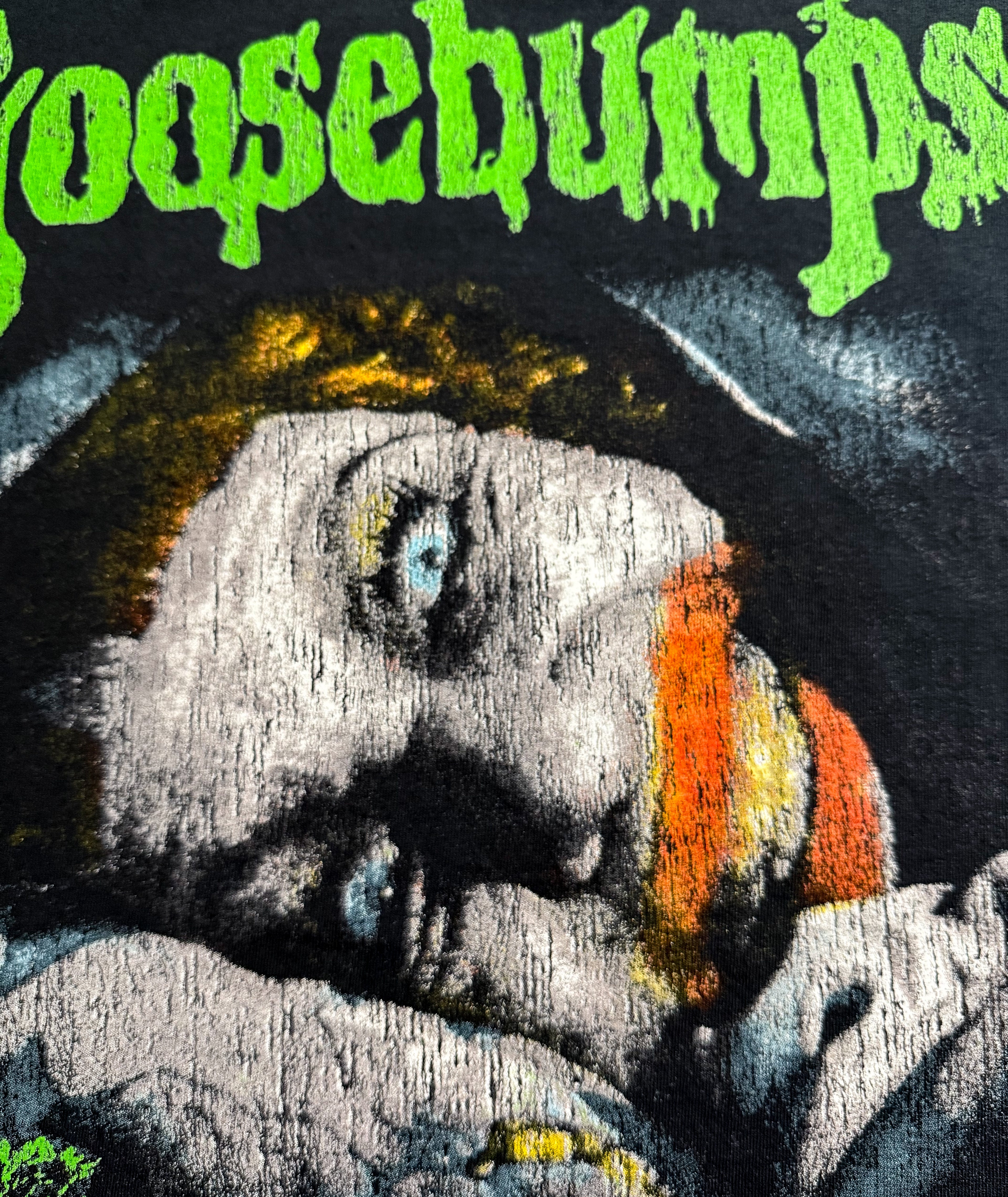 Goosebumps Aunt Gladys